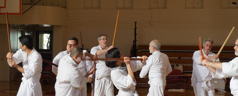 Pacific Shintaido Kangeiko 2019