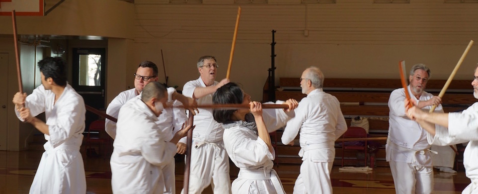 Shintaido kenjutsu curriculum and Jissen-Kumitachi online