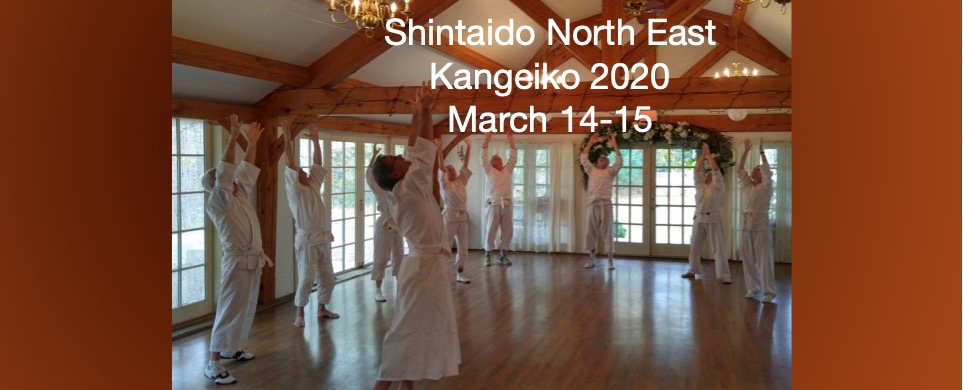 SNE Kangeiko 2020 March 14-15