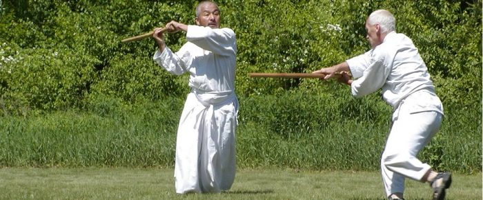 Shintaido Kenjutsu Q & R avec Master H.F.Ito.