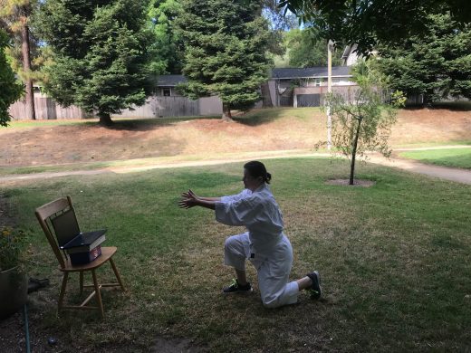 Shintaido in The Time of Covid : Across Space and Time Shintaido in The Time of Covid : Across Space and Time