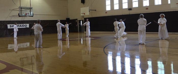 Kangeiko du Pacific Shintaido et vidéos Avancés