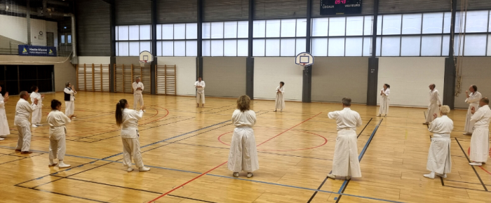 Kenjutsu study in France