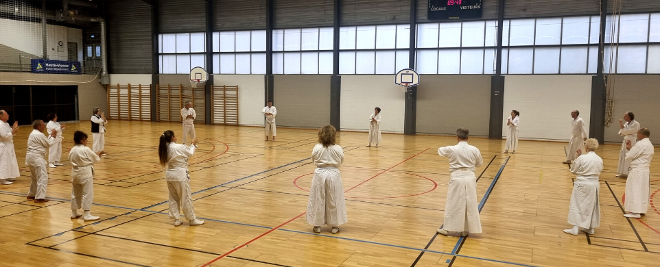 Kenjutsu study in France