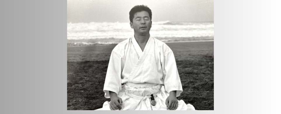 <strong>H.F. Ito: a Personal Remembrance</strong>