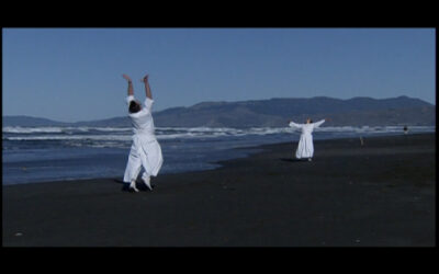 Call for for SOA Board members