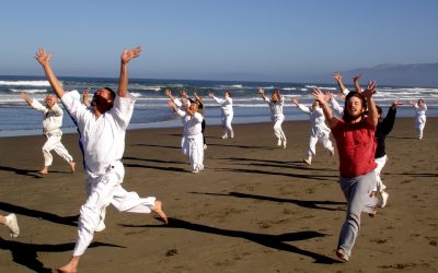 Shintaido of America – Branding Initiative