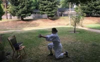 Shintaido in The Time of Covid : Across Space and Time