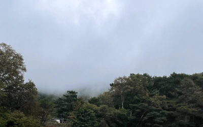 Scattering Ito Sensei’s Ashes in Japan