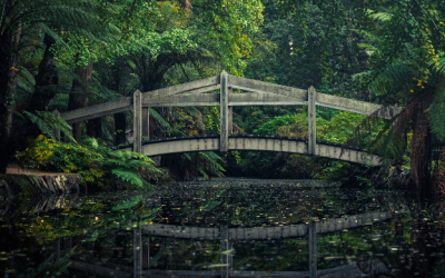 Eiko Dai Cosmology – Part II