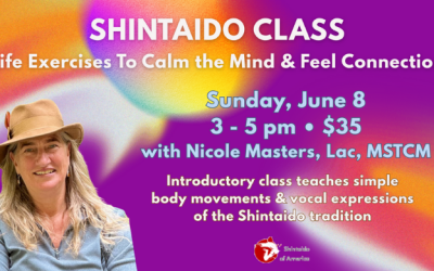 Invitation to Shintaido introductory class