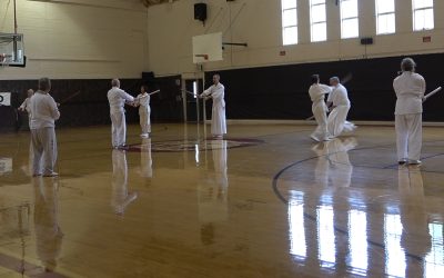 Pacific Shintaido Kangeiko and Advanced Workshop Videos