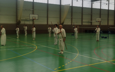 French Bohjutsu Workshop – Shoshi no Kon Kata