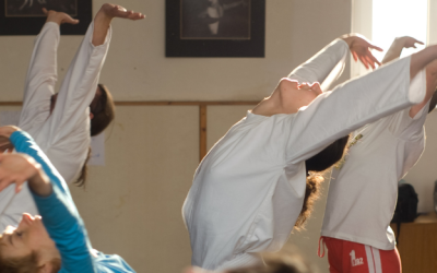 Shotokai Karate and Shintaido