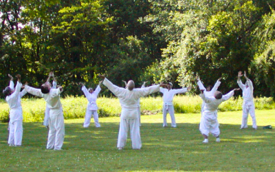 The Global Taimyo Community + Shintaido of America