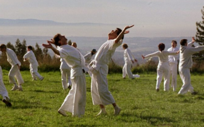 International Shintaido – an evolving organization