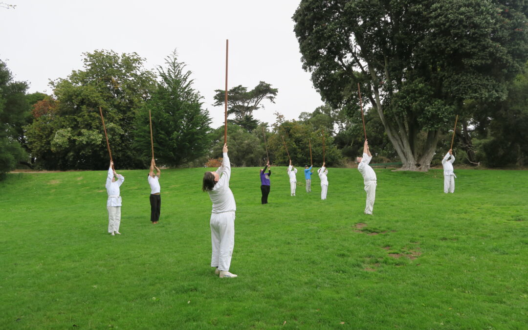 29 August ’26 Bojutsu Day and SOA examinations